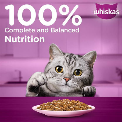 Whiskas Adult (1+ Years) Wet Cat Food, Salmon in Gravy, 80 g Hydrating Food Made With Real Fish, 100% Complete & Balanced Nutrition for Adult Cats