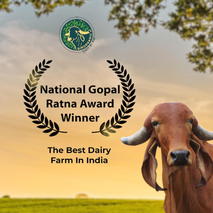 GirOrganic A2 Pure Ghee | 100% Gir Cow Ghee | Vedic Bilona Method | Grassfed, Cultured, Premium & Traditional Ghee | Immunity Booster