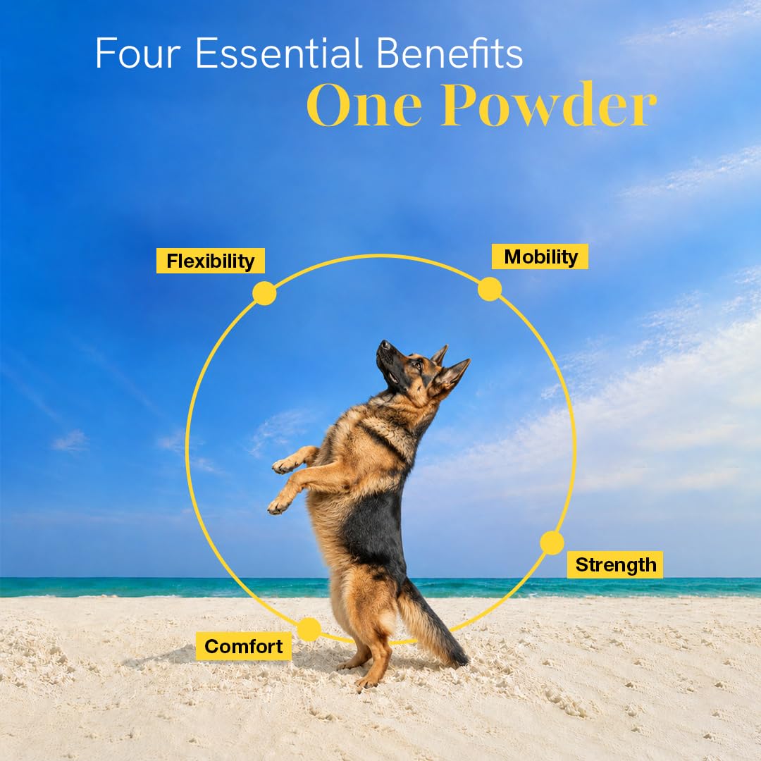 Winni Hip and Joint Supplement for Dogs | Supports Joint Health, Mobility & Flexibility | Chicken Flavor | Suitable for Puppies, Adult & Senior Dogs | No Preservatives or Additives | 120g