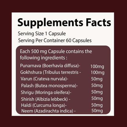 UroEase for Kidney & Uric Acid Support | Ayurvedic Supplement for Urinary Tract & Detox | Herbal Kidney Cleanse | 60 Veg Capsules
