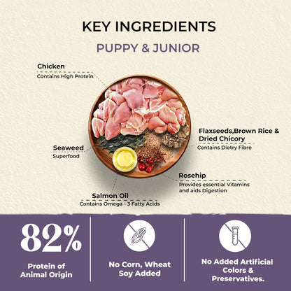 Brunos Dry Dog Food Puppy & Junior 250g (Pack of 1) | Chicken Formula with Salmon Oil & Herbs | 26% Protein & 16% Fat | for Growing Puppies of All Breeds | Supports Growth, Digestion & Bone Health