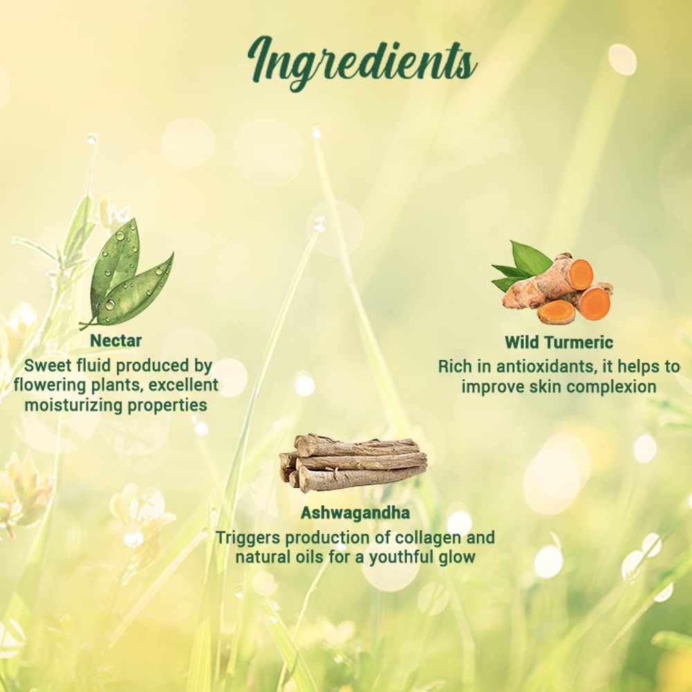 Ingredients list with nectar, wild turmeric, and ashwagandha on a green background
