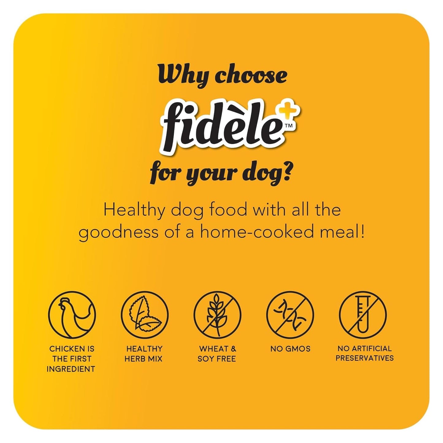 Fidele+ Adult Small & Medium Dog Food | 900g | Small Kibble for Fussy Eaters | Prebiotics for Digestion | Healthy Skin & Coat | Real Chicken