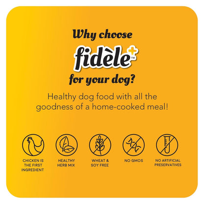 Fidele+ Adult Small & Medium Dog Food | 900g | Small Kibble for Fussy Eaters | Prebiotics for Digestion | Healthy Skin & Coat | Real Chicken