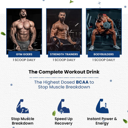 Naturyz Instantized BCAA Supplement with 7000 BCAA, Glutamine, Citrulline, Beta Alanine etc for Energy & Endurance - Pre, Post & Intra Workout Muscle Recovery (Blueberry Mojito) - 450Gms, Powder