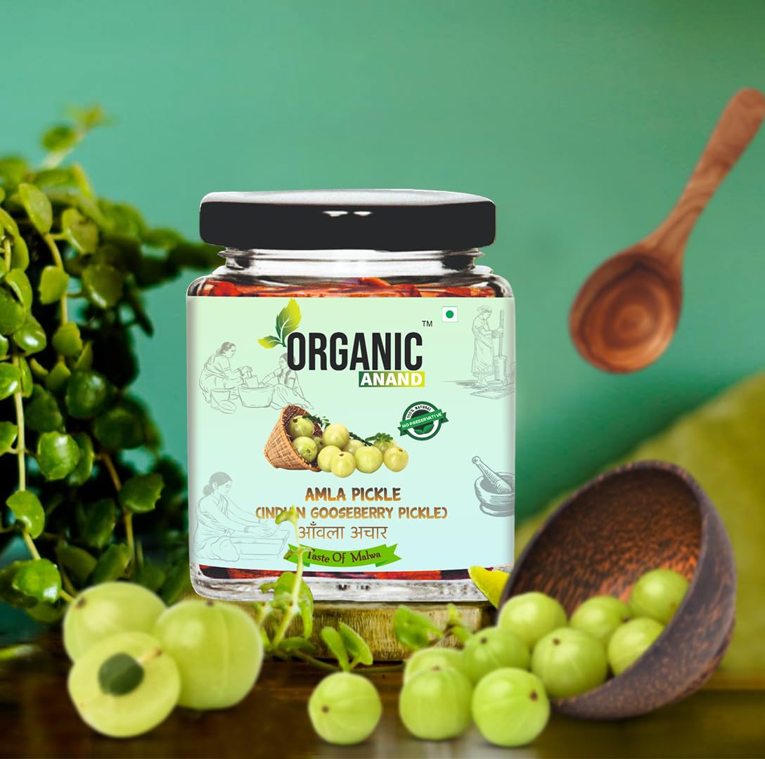 Organic Anand Amla Pickle 250g | Homemade Indian Gooseberry Pickle | Traditional Amla Ka Achaar | Natural, Homemade Pickle | No Artificial Preservatives | Ready to Eat