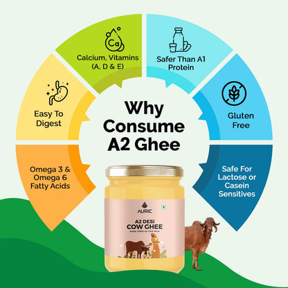 Auric A2 Bilona Desi Cow Ghee - Vedic Bilona Method -Traditional Curd Churned -Lab Tested - Danedar Ghee -Grass Fed Cow -Glass Jar