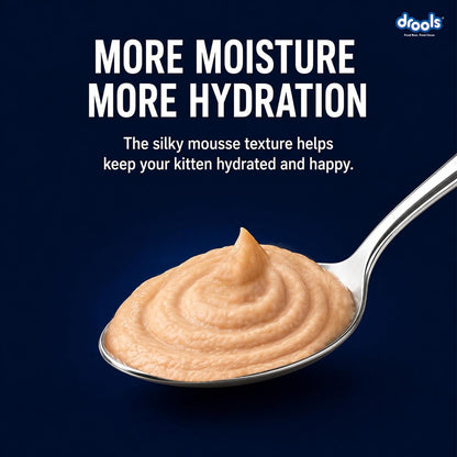 Drools Kitten Wet Mousse 80g | Chicken | High Protein | Supports Hydration & Easy Digestion | Grain Free | No Artificial Additives | Enriched with Vitamins & Antioxidants
