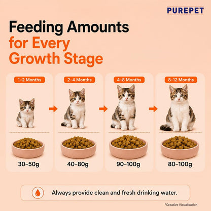 Purepet Kitten Dry Cat Food 1.2kg Pack | Mackerel Flavour | Active Behaviour | Hairball Control |Urinary Tract Health | Nutrient Rich | Minerals