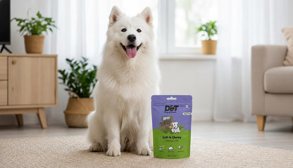 Dogs & Tiddles Blueberry & Real Chicken Dog Treats for Puppies & Adult Dogs, 100g | Soft & Chewy Puppy Treats | Easily Digestible and Healthy|Tasty Training Treats and Dog Snacks