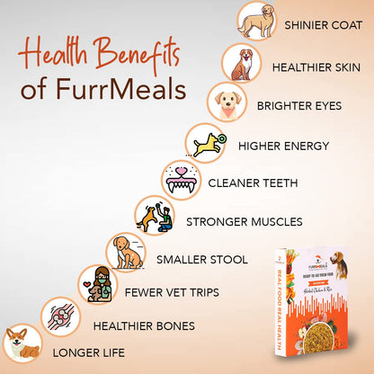 FurrMeals Wet Dog Food | Herbed Chicken and Rice | Pack of 1 x 300g | All Breed | Gluten Free | Preservative Free | Ready-to-Eat Fresh Dog Food