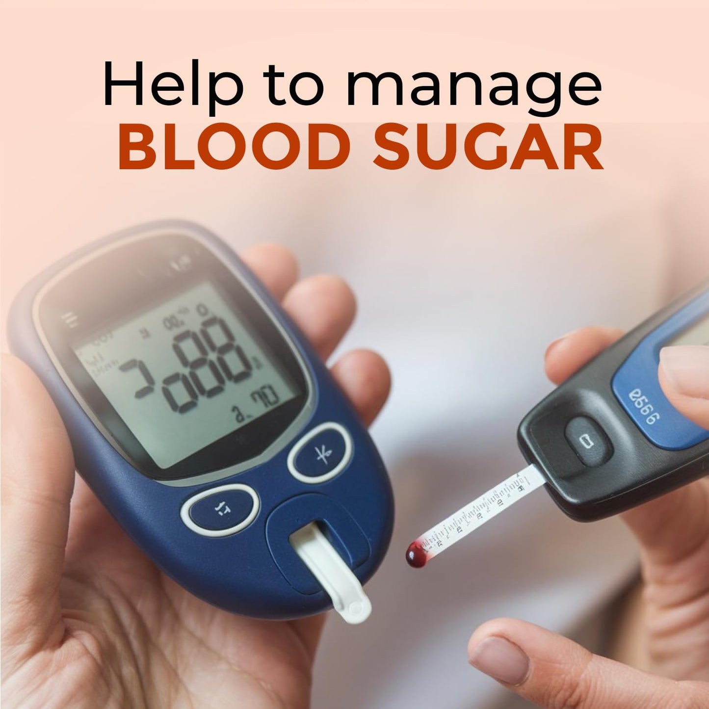 Salacia Oblonga Capsules – 60 Capsules | Supports Healthy Blood Pressure & Cholesterol Levels | 100% Natural Salacia Extracts | Plant-Based Ingredients