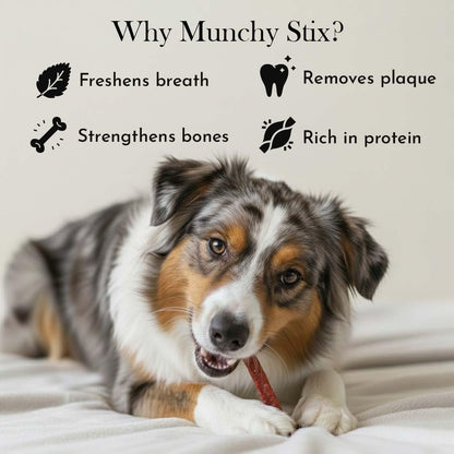 PETS EMPIRE Munchy Stix Dog Treats, Chicken | Mutton Flavour Chew Sticks | Healthy Reward Treats for Dogs | High Protein Daily Chews (1 kg, Mutton, Pack of 1)