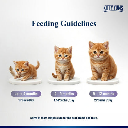 Kitty Yums Kitten Wet Mousse 80g | Ocean Fish | Rich in Protein | Promotes Hydration & Easy to Digest | Grain Free | No Artificial Flavours |Packed with Essential Vitamins & Antioxidants