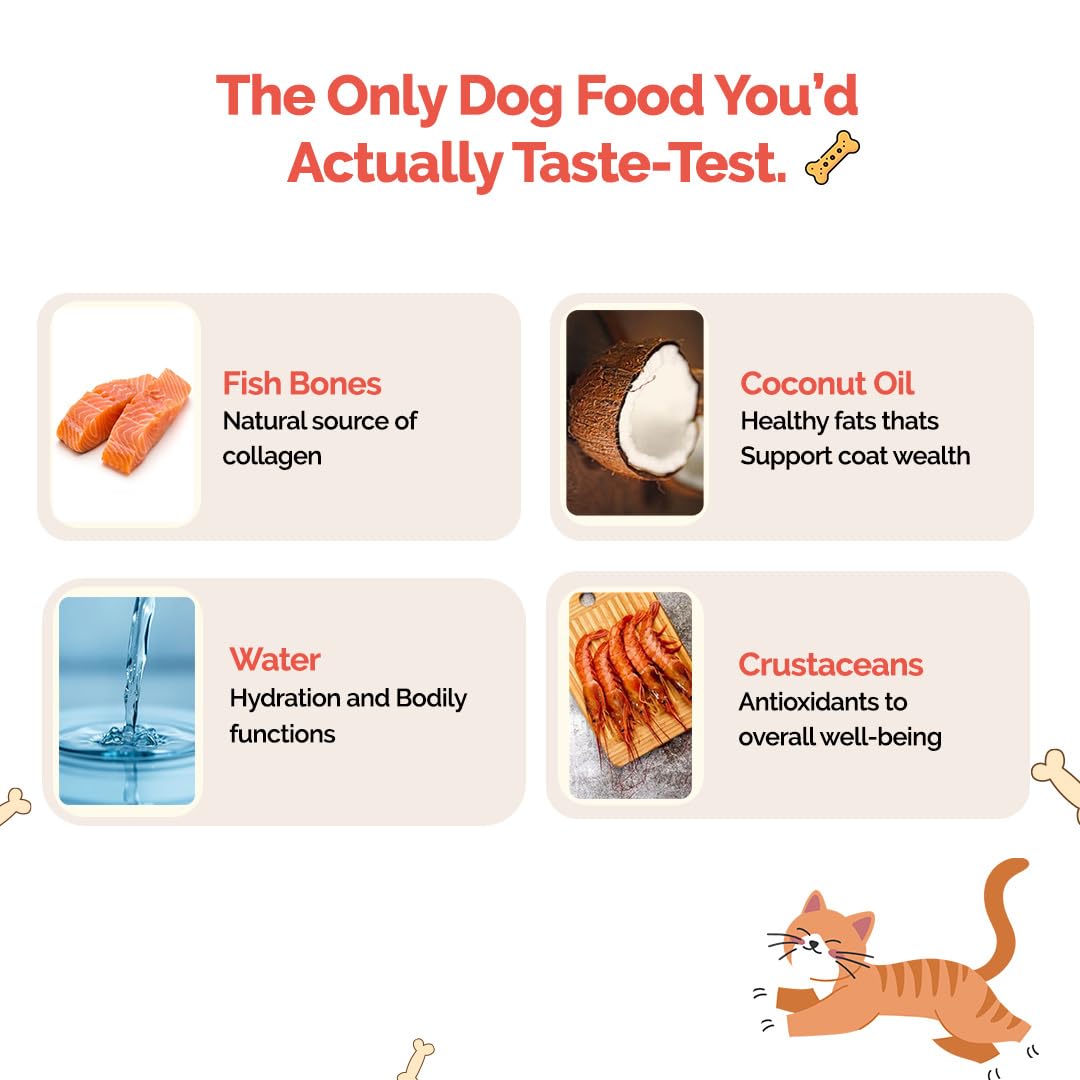 Goofy Tails Sea Food Bone Broth for Cats 100 ml (100ml X 1 Pack), Human Grade, Preservative Free, Gut Friendly Cat Food Topper, Cat Supplements with Natural Collagen