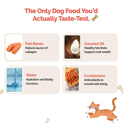 Goofy Tails Sea Food Bone Broth for Cats 100 ml (100ml X 1 Pack), Human Grade, Preservative Free, Gut Friendly Cat Food Topper, Cat Supplements with Natural Collagen