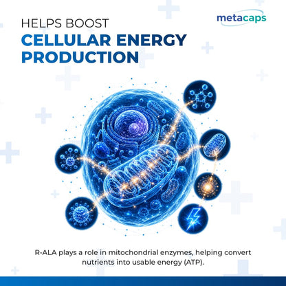 MetaCaps High-Absorption R-Alpha Lipoic Acid (R-ALA) 300mg – 90 Veg Capsules | Stabilized Bio-Enhanced Formula | Advanced Nerve Support & Glucose Metabolism | Master Antioxidant for Cellular Energy | Non-GMO & Vegan