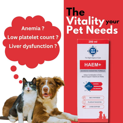 PET360 HAEM+ Advanced Haematinic Formula | Health Booster & Liver Tonic for Cats & Dogs | with Extracts of Papaya & Silymarine | Active Combination of Iron, Blood Support Vitamins & Herbs - 200 ml