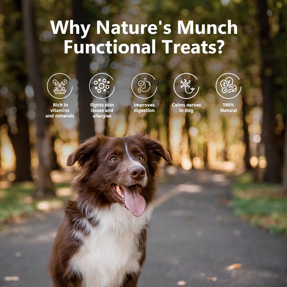 Pawfect Nature's Munch Health & Digestion Dog Treat| For Better Health and Digestion for Dogs| Freeze-Dried bite size| All natural| Grain & Gluten free| Low calorie| Healthy Training Treats(75g/2.7oz)