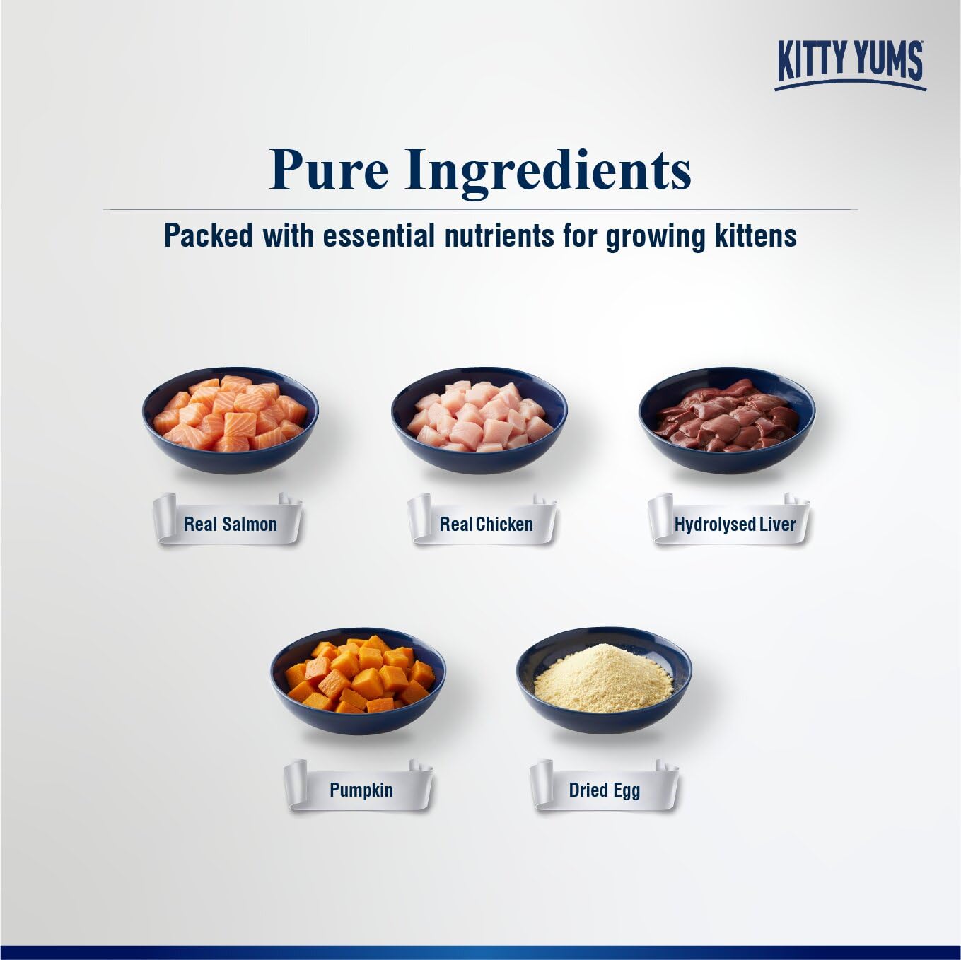 Kitty Yums Kitten Wet Mousse 80g | Salmon | Rich in Protein | Promotes Hydration & Easy to Digest | Grain Free | No Artificial Flavours | Packed with Essential Vitamins & Antioxidants