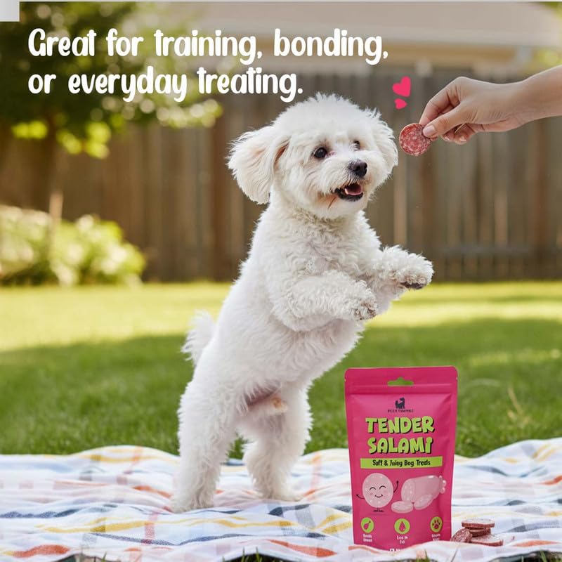 PETS EMPIRE Tender Salami Dog Treats, 100g | Soft & Juicy Chicken Dog Snacks | High Protein Chewy Treats for Dogs | Healthy Training Rewards for Puppies & Adult Dogs