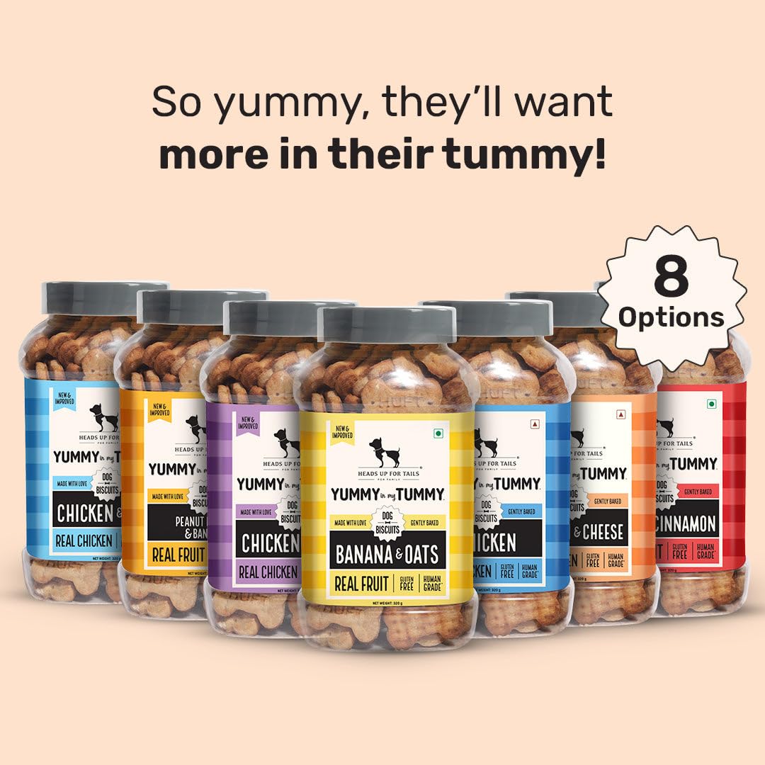 Yummy in My Tummy by HUFT Chicken & Cheese Dog Biscuits – 800 gm | Crunchy & Healthy Treats for Puppies & Adult Dogs | High-Protein Snack | Ideal Training Treat for All Life Stages Dogs