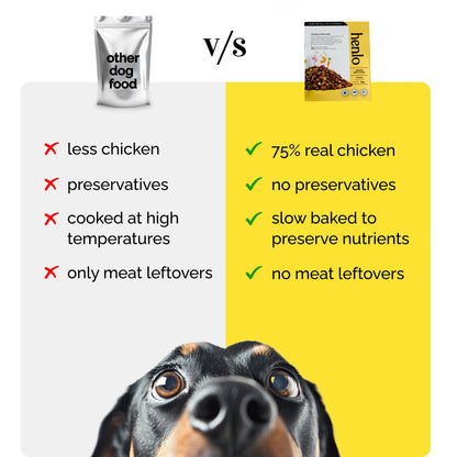 Henlo Baked Dry Dog Food For Puppies | 1Kg |100% Human-Grade Ingredients | Nutritionally Balanced Healthy Dog Food | Chicken Flavour | Suitable For All Breeds, 1 Count