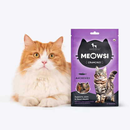Meowsi by HUFT Dehydrated Anchovies Crunchies Cat Treats – 35 gm | Protein-Rich Crunchy Seafood Treats for Cats & Kittens | Natural Anchovy Snack | Supports Dental Health | Tasty Training Reward