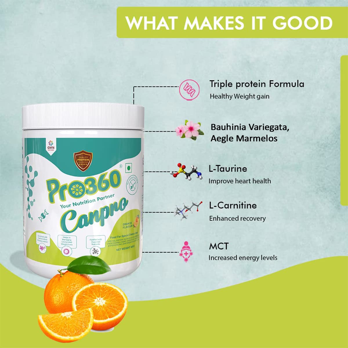 Pro360 Canpro Nutrition Supplement Powder for Chemo/Radiation Therapy Induced Weight Loss, Protein Rich with Essential Nutrients, Orange Flavor, 400G (Pack of 1), Powder