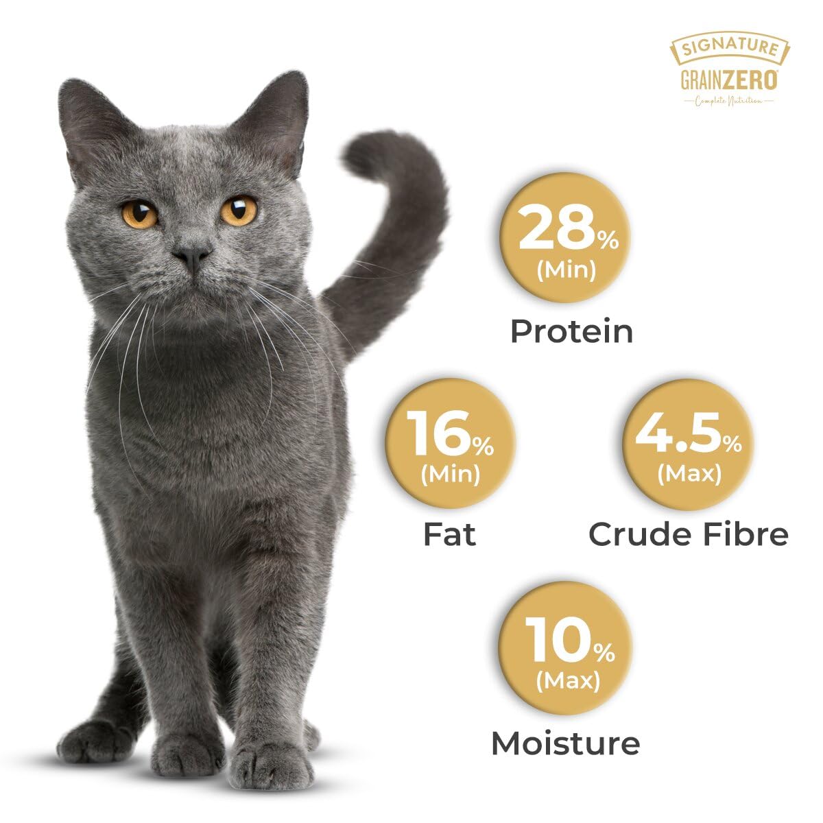 Grain Zero Adult Dry Cat Food 1.2kg | Ocean Fish, Sardine & Mackerel | 48% Fresh Fish Inclusion | Grain-Free & Gluten-Free | Promotes Healthy Skin & Coat | Suitable for All Breeds