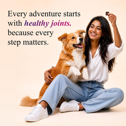 Petroyale Hip & Joint Advanced Mobility Soft Chews for Dogs | Glucosamine, Chondroitin, MSM, Collagen, Hyaluronic Acid, Boswellia & Devil's Claw | Joint Support Supplement | 30 Chews