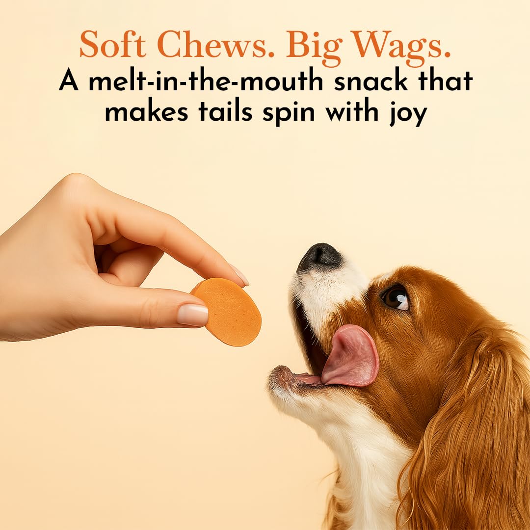 PETS EMPIRE O'Dog Chicken Circular Chips, Healthy Dog Treats, Chewy Dogs Bites for Training and Feeding, Made with Real Chicken, Non-Vegetarian Pup Snacks for Dogs, Puppies - 100g