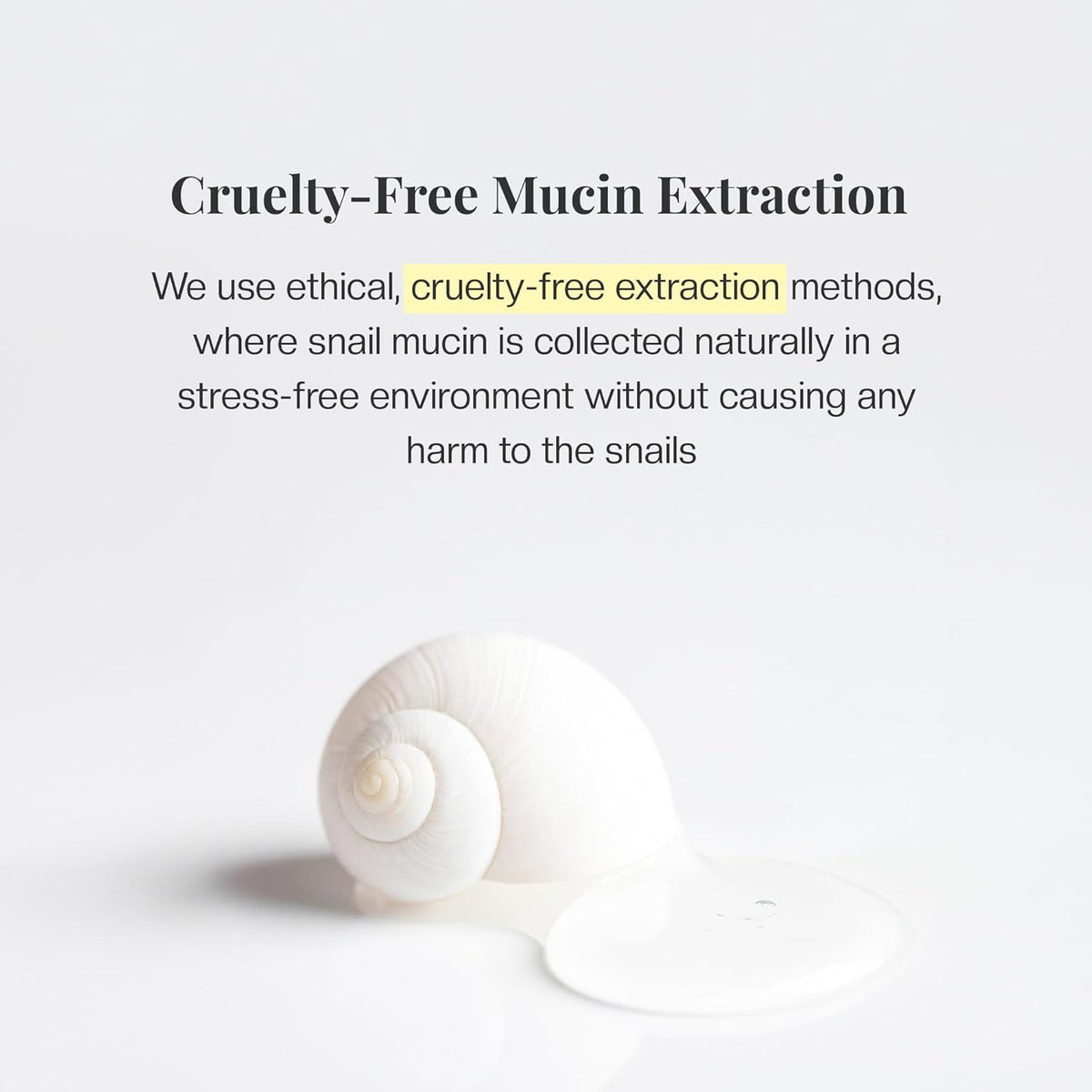 Cruelty-free mucin extraction text with a snail shell on a white background