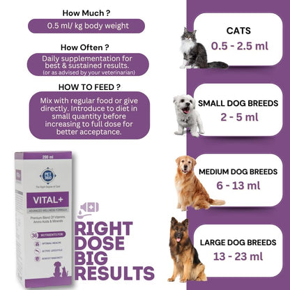 PET360 Vital+ Advanced Wellness Formula | Daily Multivitamin Syrup | Healthy Skin, Joints, Immunity & Growth | Nutritional Supplement for Dogs & Cats- 200 ml