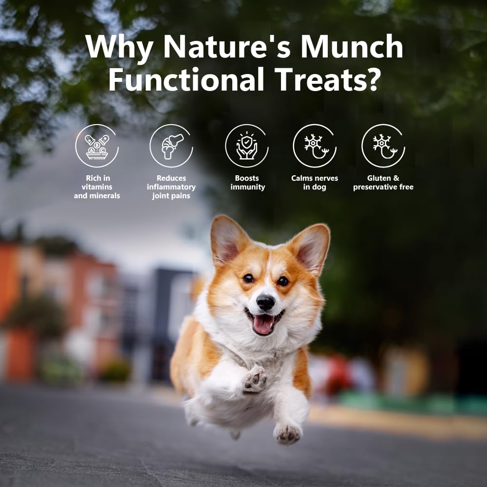 Pawfect Nature's Munch Freeze-Dried Cheese Joint Care Treats for Dogs - 100% Natural - High Protein, Low Fat - 8 Calories per Treat- Grain-Free - Healthy Training Treat (75g/2.65oz)