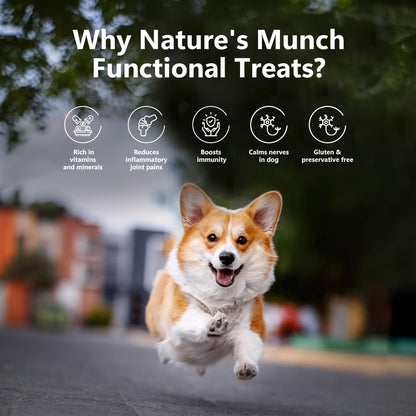 Pawfect Nature's Munch Freeze-Dried Cheese Joint Care Treats for Dogs - 100% Natural - High Protein, Low Fat - 8 Calories per Treat- Grain-Free - Healthy Training Treat (75g/2.65oz)
