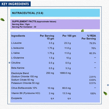 Naturyz Instantized BCAA Supplement with 7000 BCAA, Glutamine, Citrulline, Beta Alanine etc for Energy & Endurance - Pre, Post & Intra Workout Muscle Recovery (Blueberry Mojito) - 450Gms, Powder