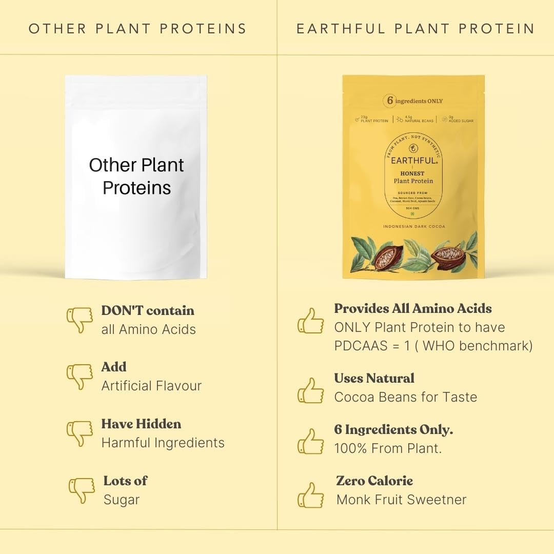 Zephivo Earthful Honest Plant Protein | 24g Protein/Serving & 4.9g BCCAs | For Weight Management, Energy, Muscle Support & Recovery | Made with Pea & Brown Rice | Indonesian Cocoa - 504g