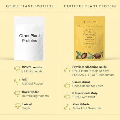Zephivo Earthful Honest Plant Protein | 24g Protein/Serving & 4.9g BCCAs | For Weight Management, Energy, Muscle Support & Recovery | Made with Pea & Brown Rice | Indonesian Cocoa - 504g