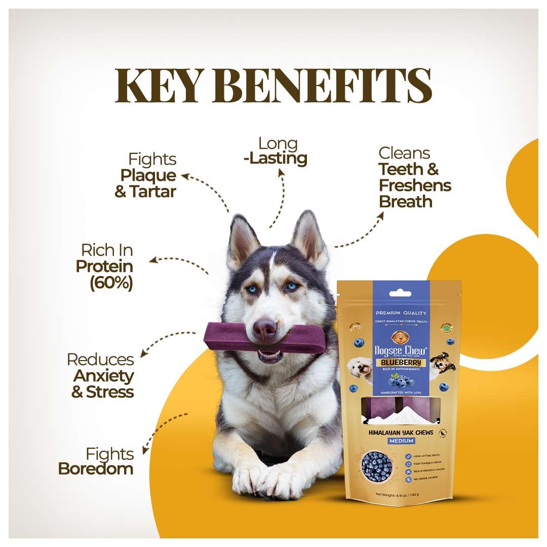 Dogsee Flavored Himalayan Yak Cheese Dental Chews for Dogs 140g (Medium - 2 Chews) | for Healthy Skin & Coat | No Grain, No Gluten | Odorless Dog Treats (Medium, Blueberry)