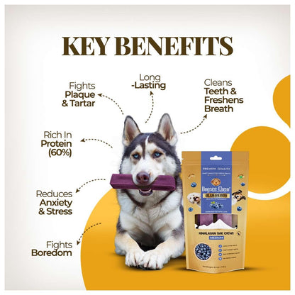 Dogsee Flavored Himalayan Yak Cheese Dental Chews for Dogs 140g (Medium - 2 Chews) | for Healthy Skin & Coat | No Grain, No Gluten | Odorless Dog Treats (Medium, Blueberry)