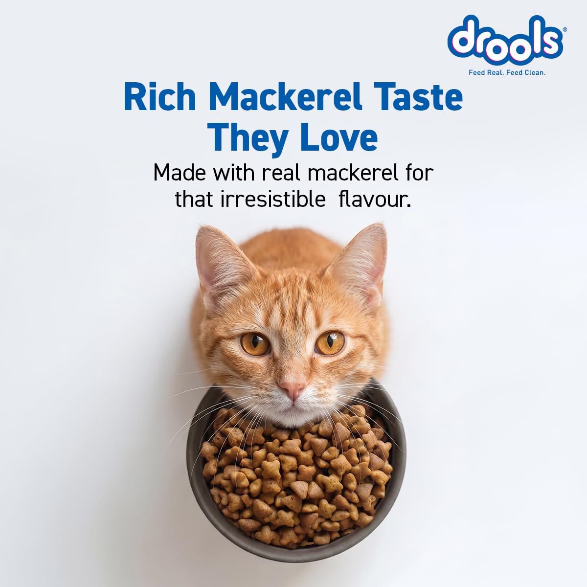 Drools Adult Dry Cat Food 1.2kg Pack | Mackerel Flavour | Enriched with Essential Nutrients | Supports Skin & Coat | Complete Nutrition | Aids Digestion | Promotes Growth