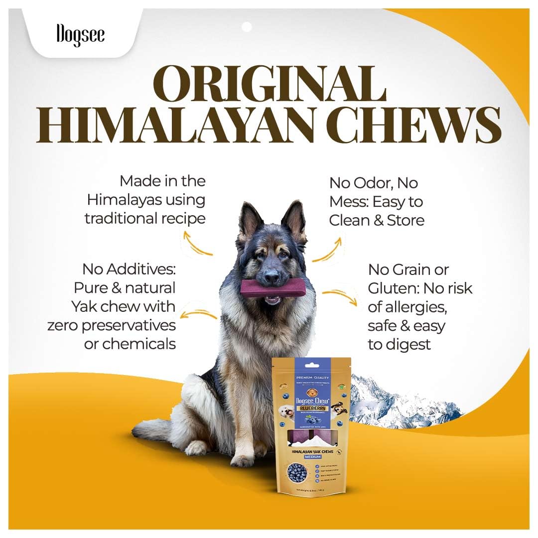 Dogsee Flavored Himalayan Yak Cheese Dental Chews for Dogs 140g (Medium - 2 Chews) | for Healthy Skin & Coat | No Grain, No Gluten | Odorless Dog Treats (Medium, Blueberry)