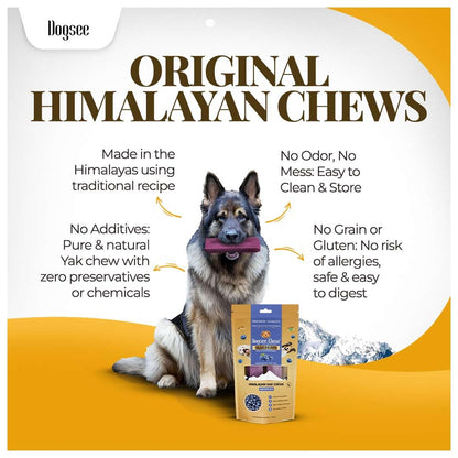 Dogsee Flavored Himalayan Yak Cheese Dental Chews for Dogs 140g (Medium - 2 Chews) | for Healthy Skin & Coat | No Grain, No Gluten | Odorless Dog Treats (Medium, Blueberry)