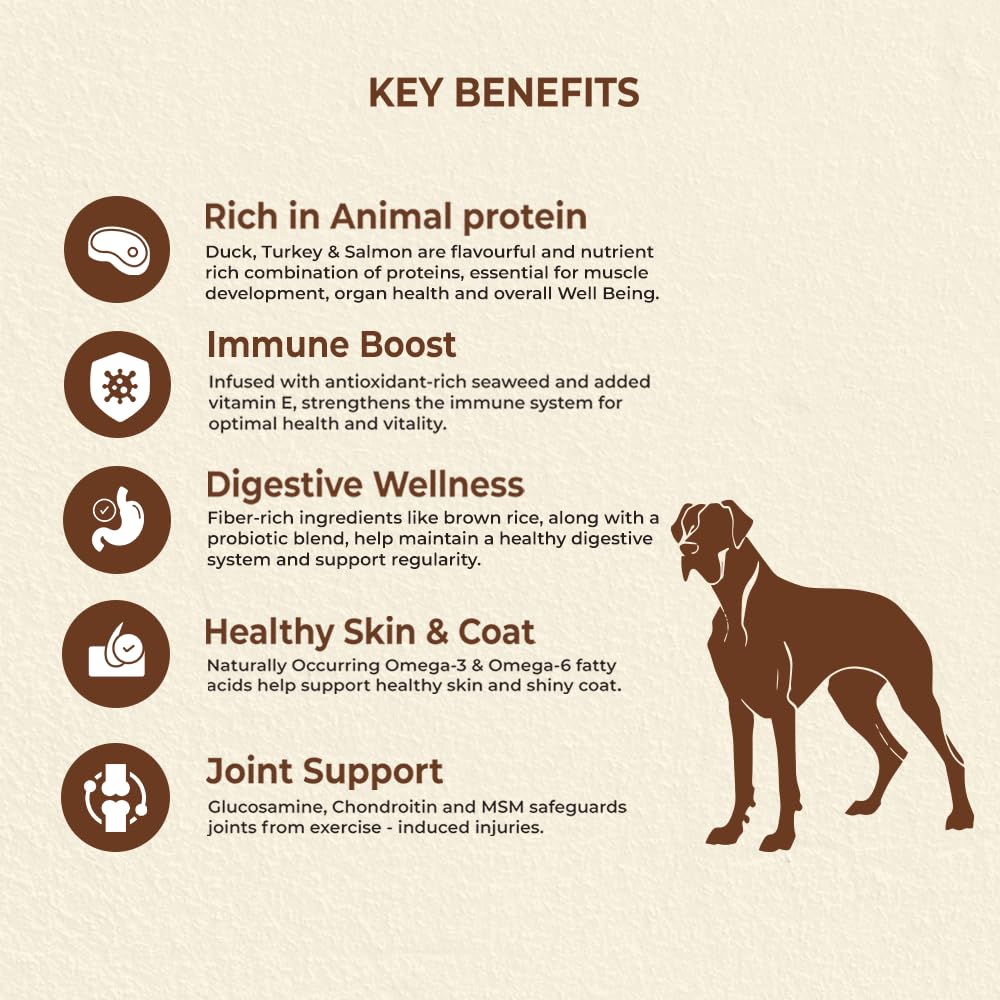 Brunos Sunburn Dry Dog Food - 250g (Pack of 1) | Duck, Turkey & Salmon | Multi-Meat Recipe | Chicken-Free |for All Life Stages | 32% Protein & 20% Fat | Supports Growth, Joints & Digestion