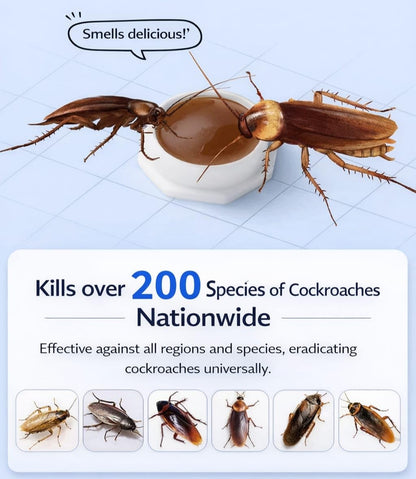 Natural Cockroach Repellent Bait (8 Traps) | Eco-Friendly Anti-Roach Gel Traps for Kitchen, Bathroom & Cabinets | Non-Toxic Indoor & Outdoor Cockroach Control | Odorless Pest Repellent