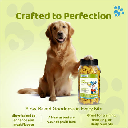 Petoska Dog Biscuits – Chicken Flavor | 500g Jar | Real Chicken Goodness | Crunchy, Nutritious Treats for All Breeds | 300 kcal/100g | Healthy Dog Snack