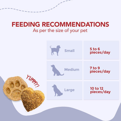 FURRMATE Veg Dog Treats, 100% Plant-Based Nutrient-Rich Ingredients, Organic & Gluten-Free, Protein-Rich, Hypoallergenic (100 Gram (Pack of 1)), Carrot & Pumpkin