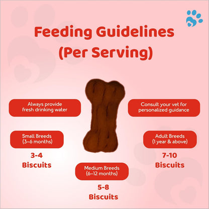 Petoska Dog Biscuits | Made with Real Mutton Goodness | 500g Jar |Crunchy Treats for Small, Medium & Large Dogs | 300 kcal/100g | Complementary Dog Food | Delicious Meat-Flavoured Biscuits