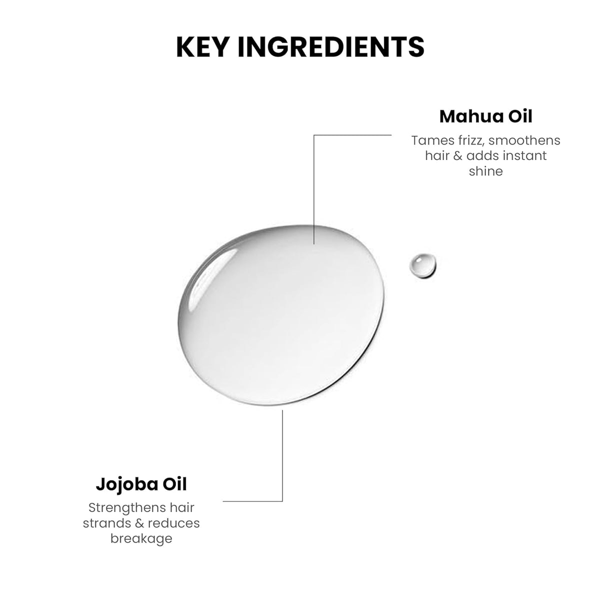 Diagram of key ingredients in a hair product, showing Jojoba Oil and Mahua Oil with labels.